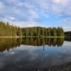 Abendsonne am Bärenbrucher Teich