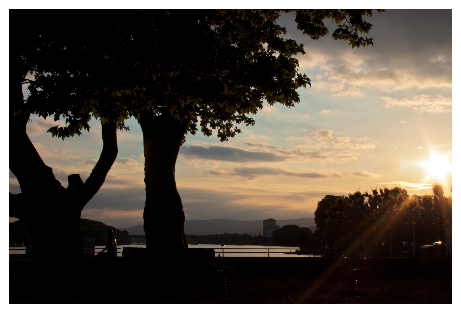 Abendsonne am Biebricher Rheinufer