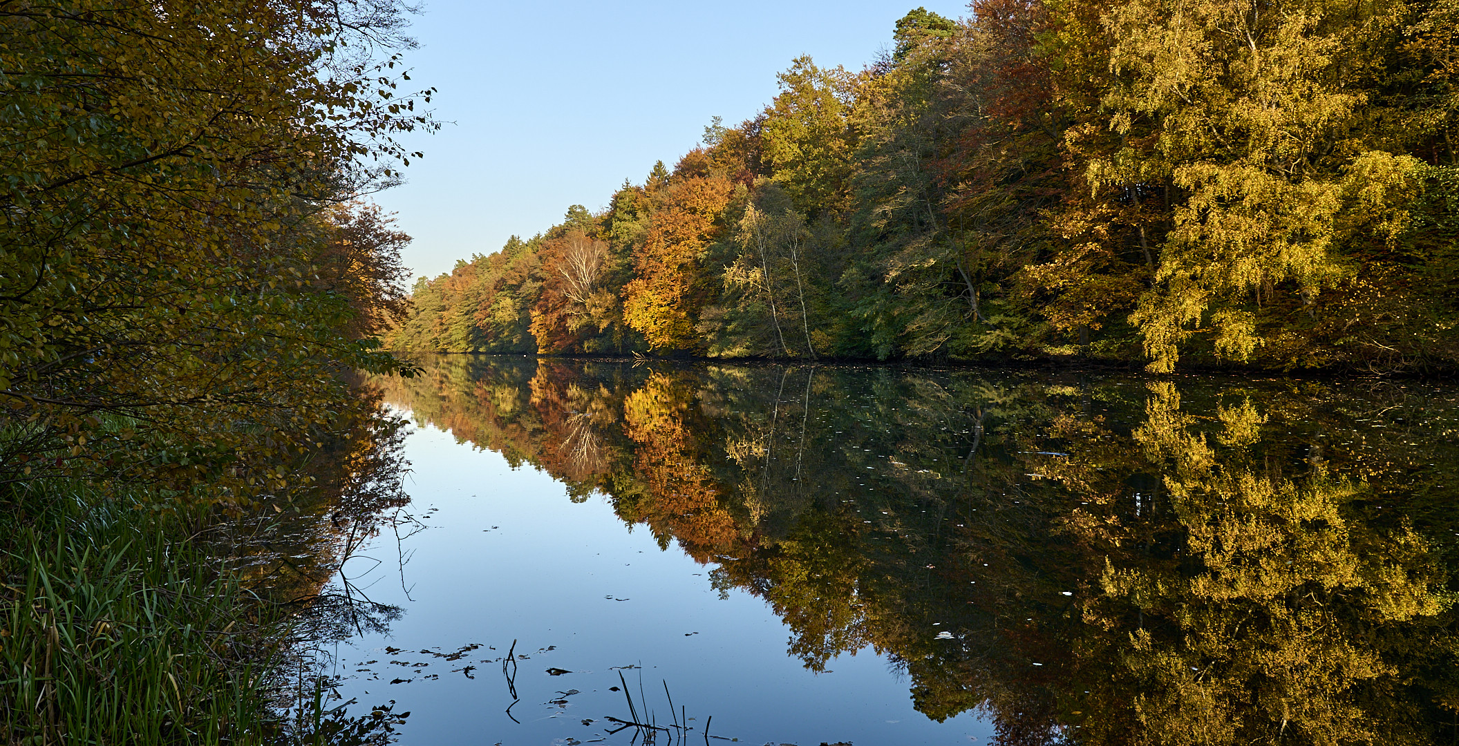 Abendsonne am Blechhammerweiher, auch Hammerwoog genannt...