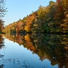 Abendsonne am Blechhammerweiher, auch Hammerwoog genannt...