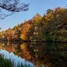 Abendsonne am Blechhammerweiher, auch Hammerwoog genannt...