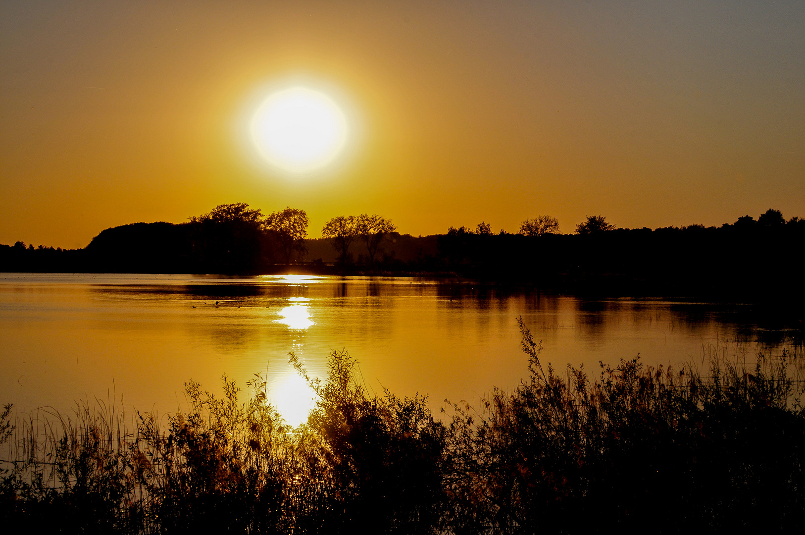 Abendsonne am Döllnitzsee