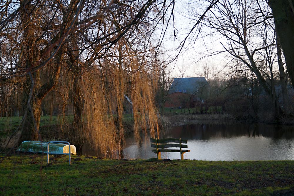 Abendsonne am Dorfteich