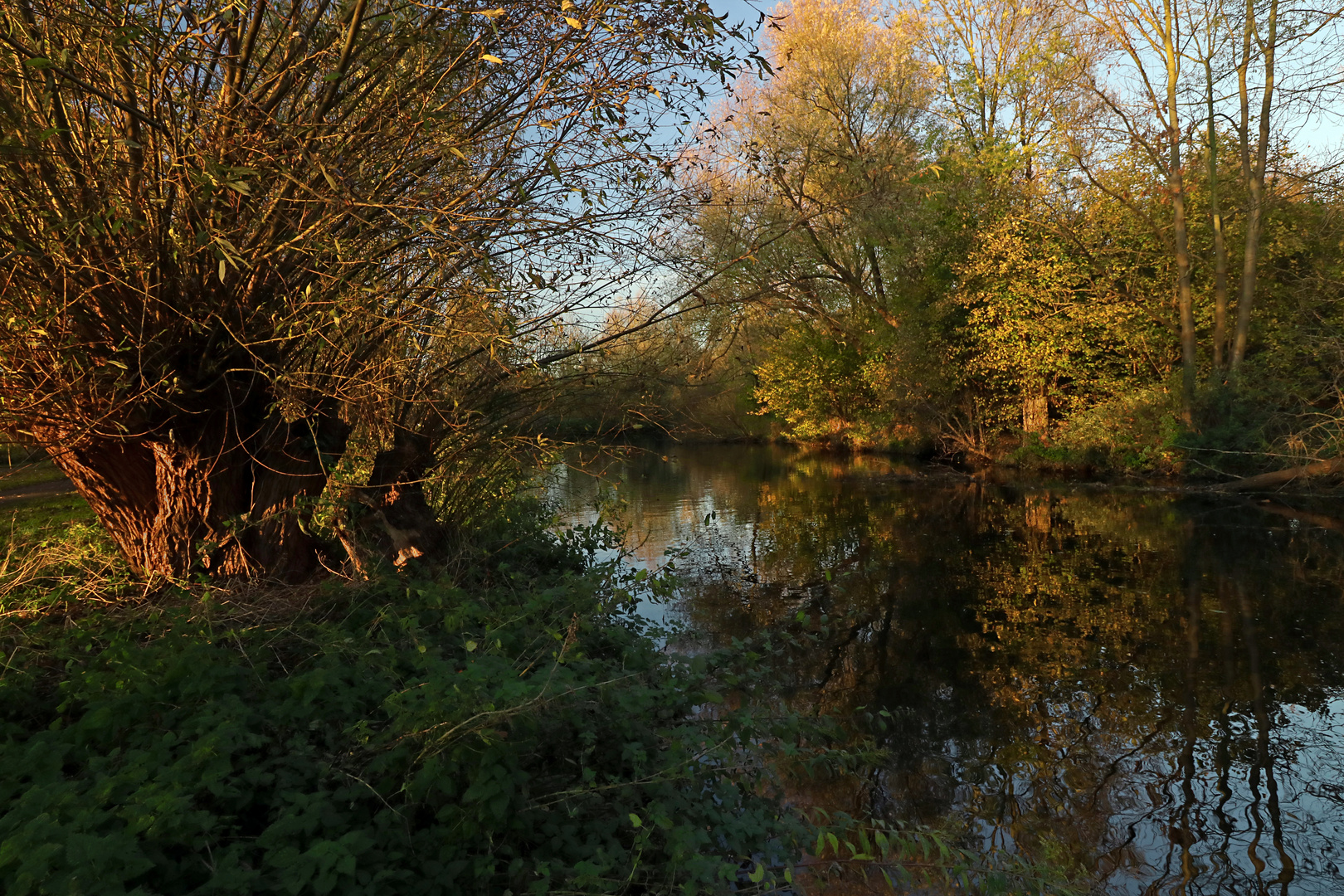 Abendsonne am Fluss