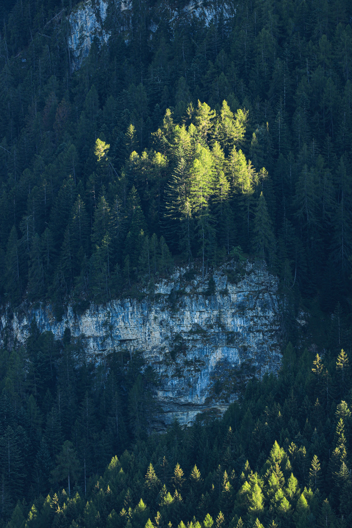 Abendsonne am Fuße des Schlern