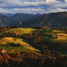 Abendsonne am Gmundnerberg