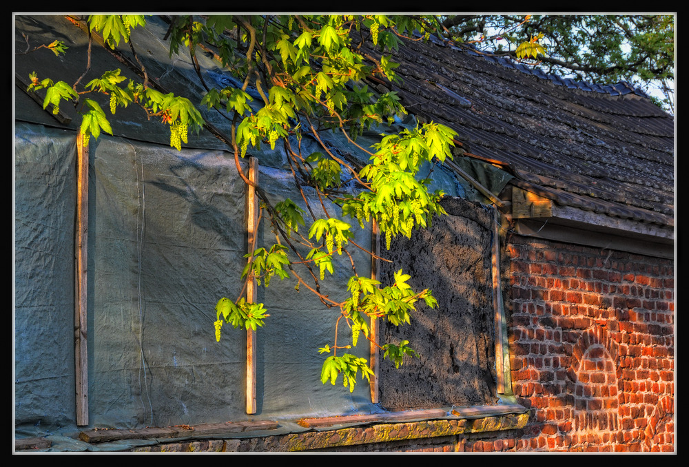 Abendsonne am Haus Erprath