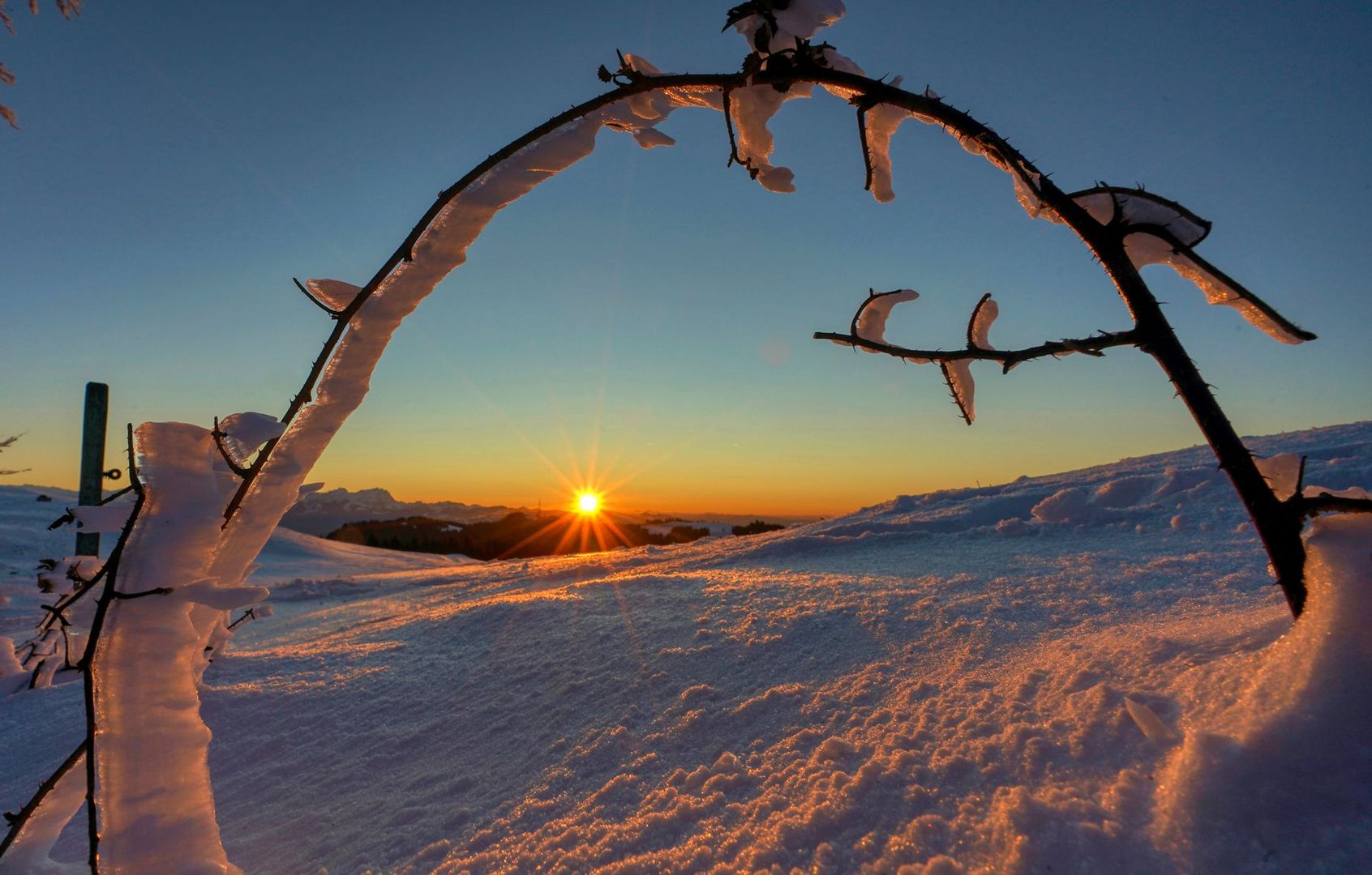 Abendsonne am Hirschberg