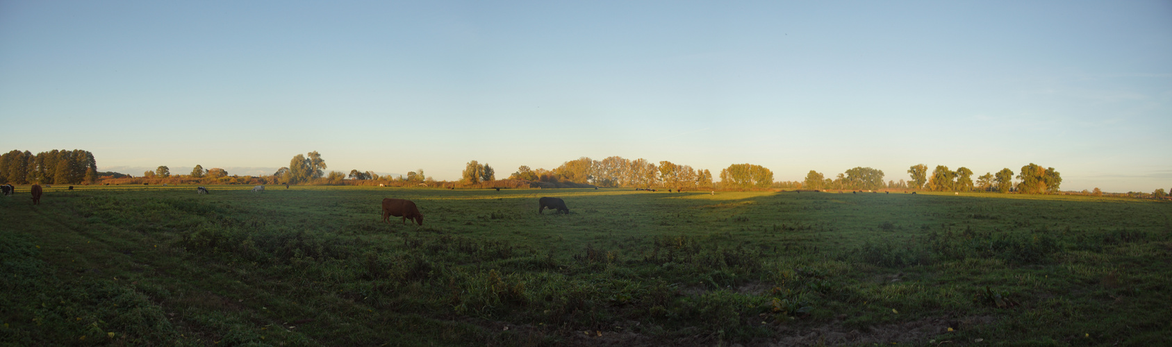 Abendsonne am Kranich-Rastplatz Linum (2)