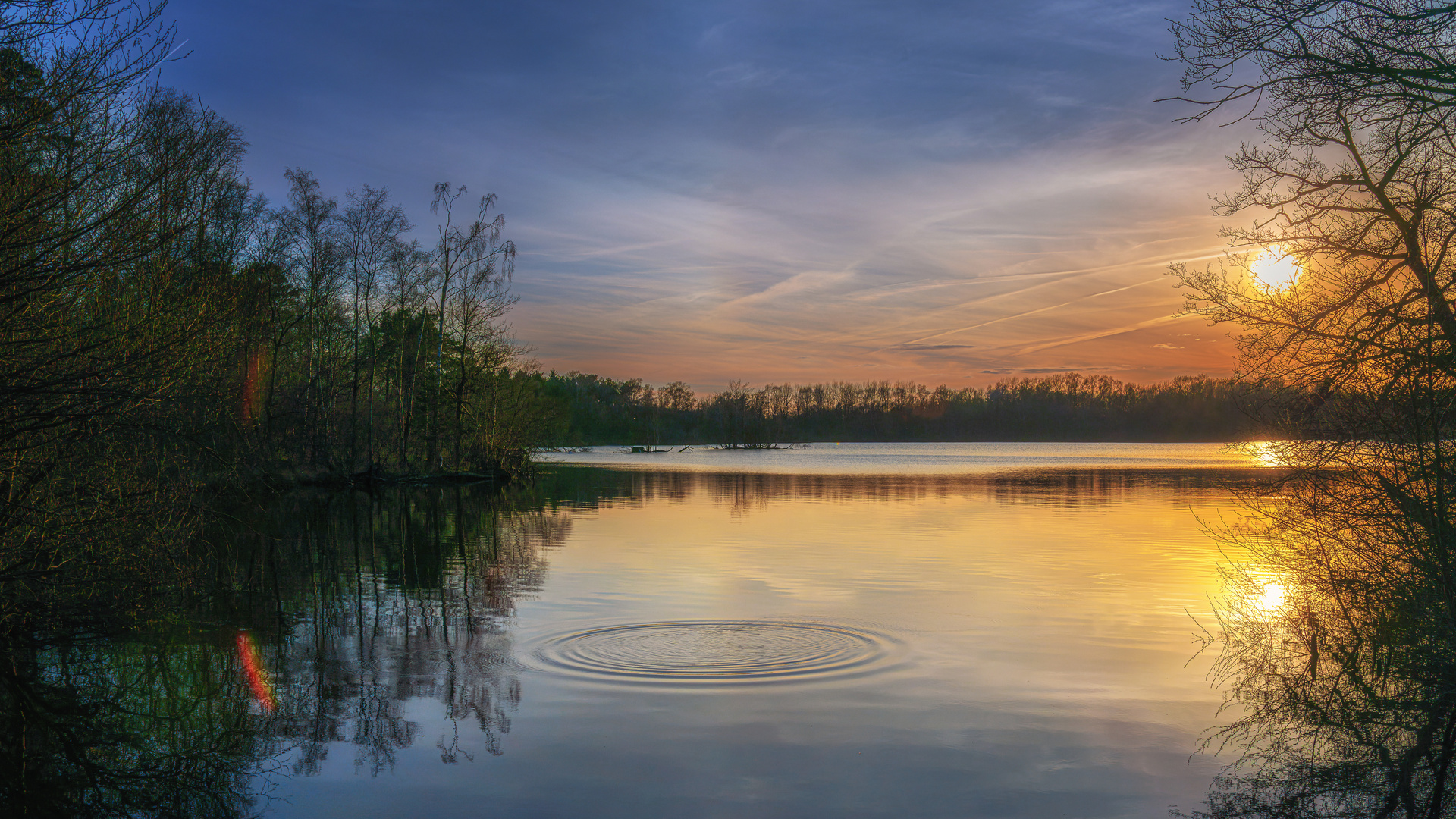 Abendsonne am Moorsee