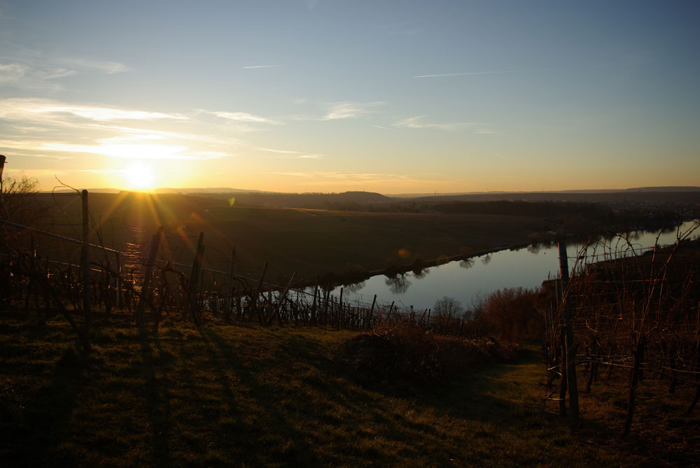 Abendsonne am Neckar