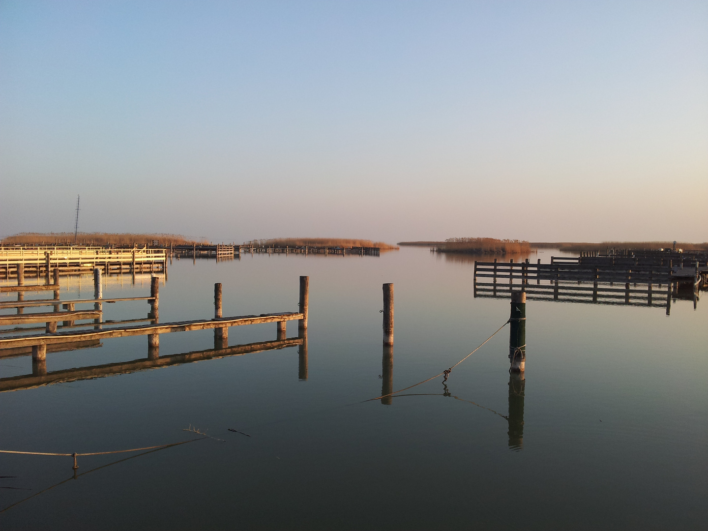 Abendsonne am Neusiedlersee