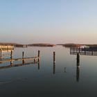 Abendsonne am Neusiedlersee