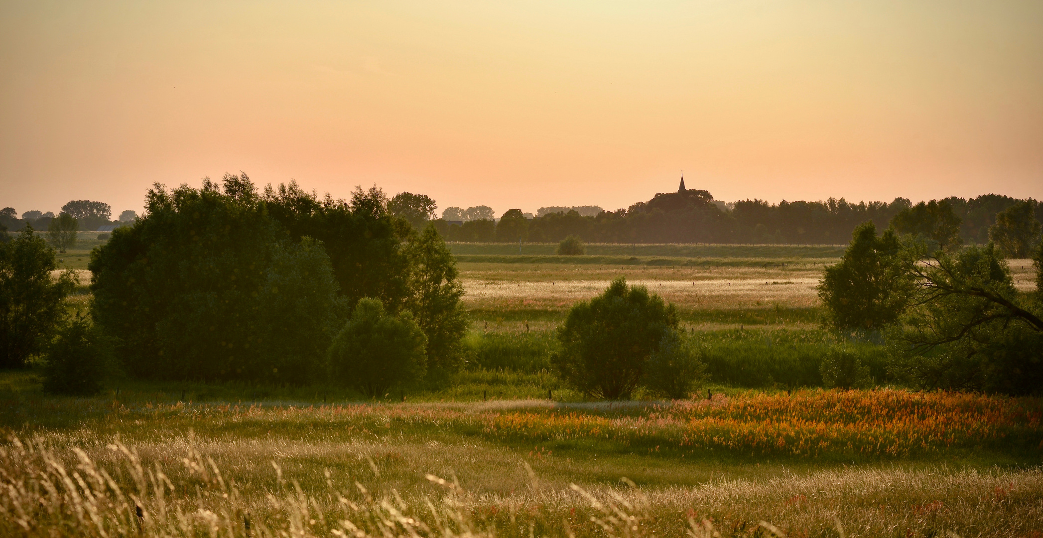 Abendsonne am Niederrhein........