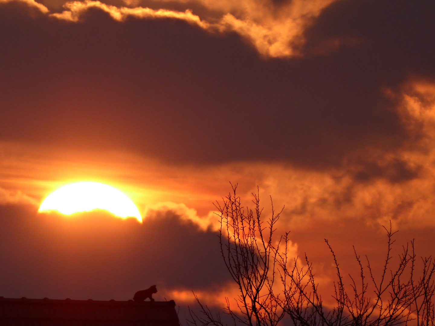 Abendsonne am Ostersamstag