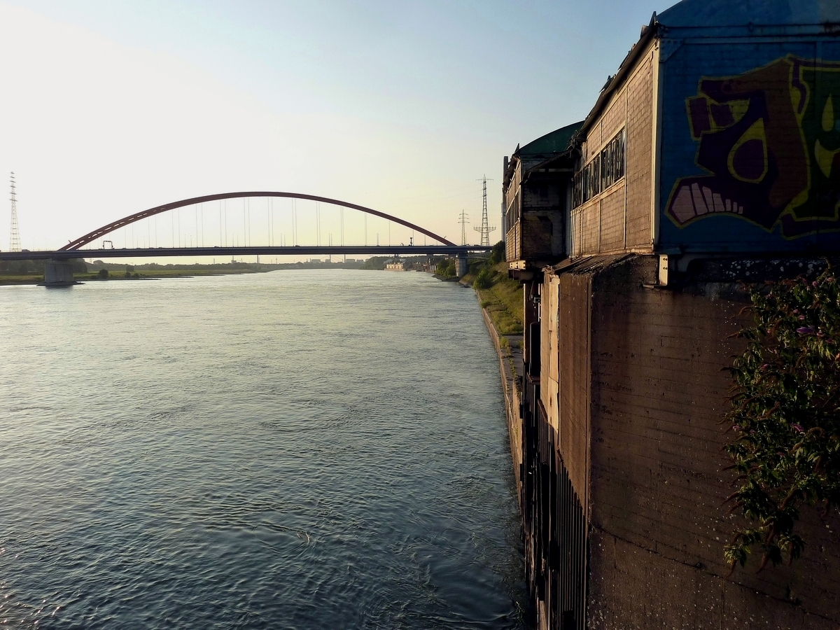 Abendsonne am Rhein bei km 775