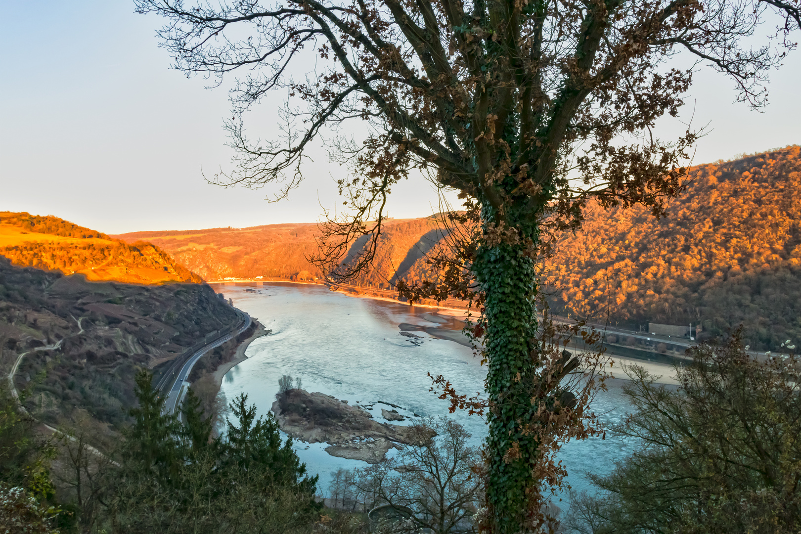 Abendsonne am Rhein