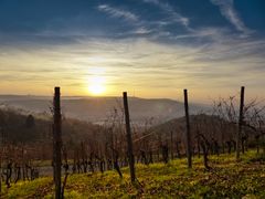 Abendsonne am Rotenberg, Stuttgart