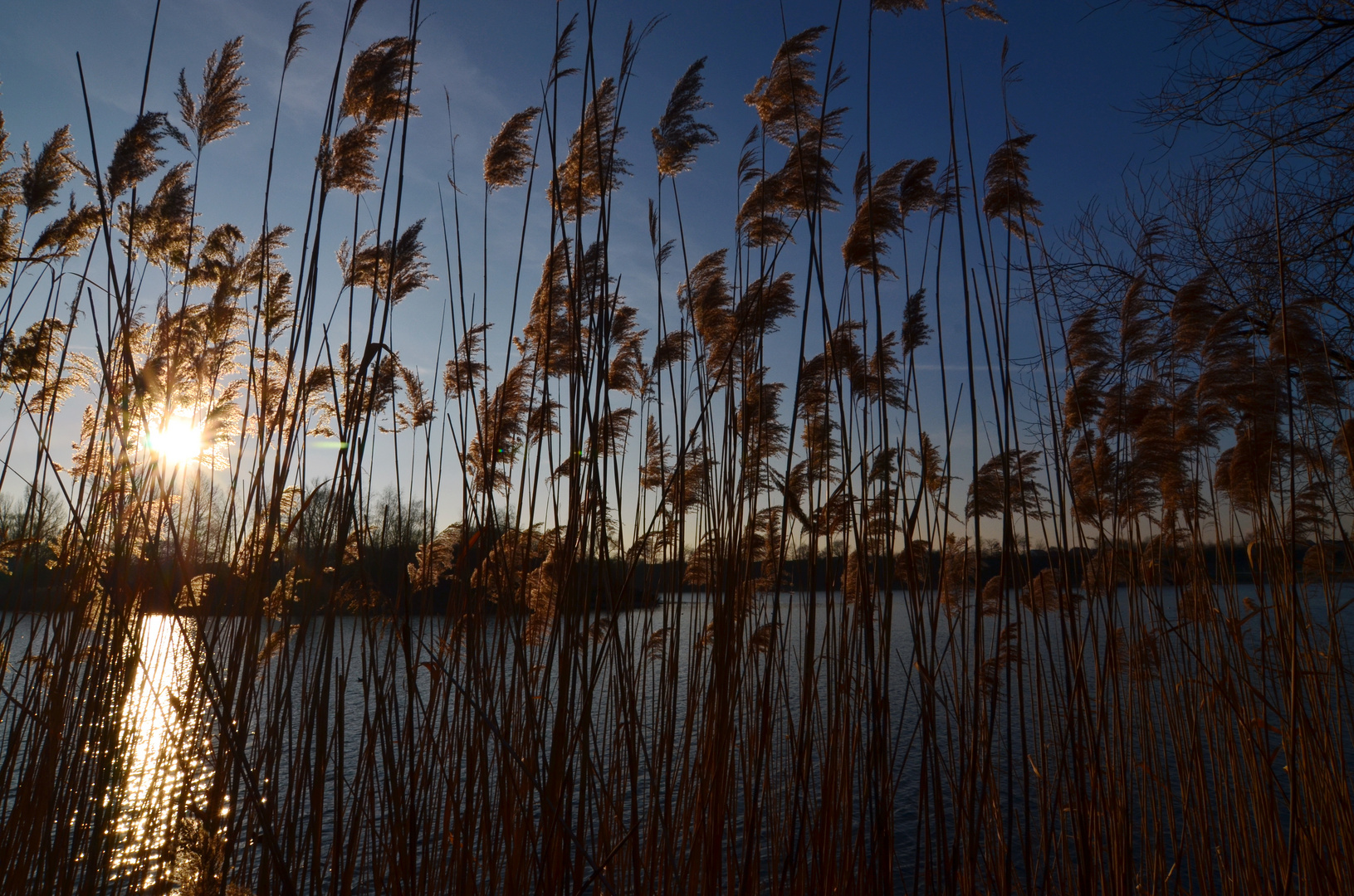 Abendsonne am Rotter See