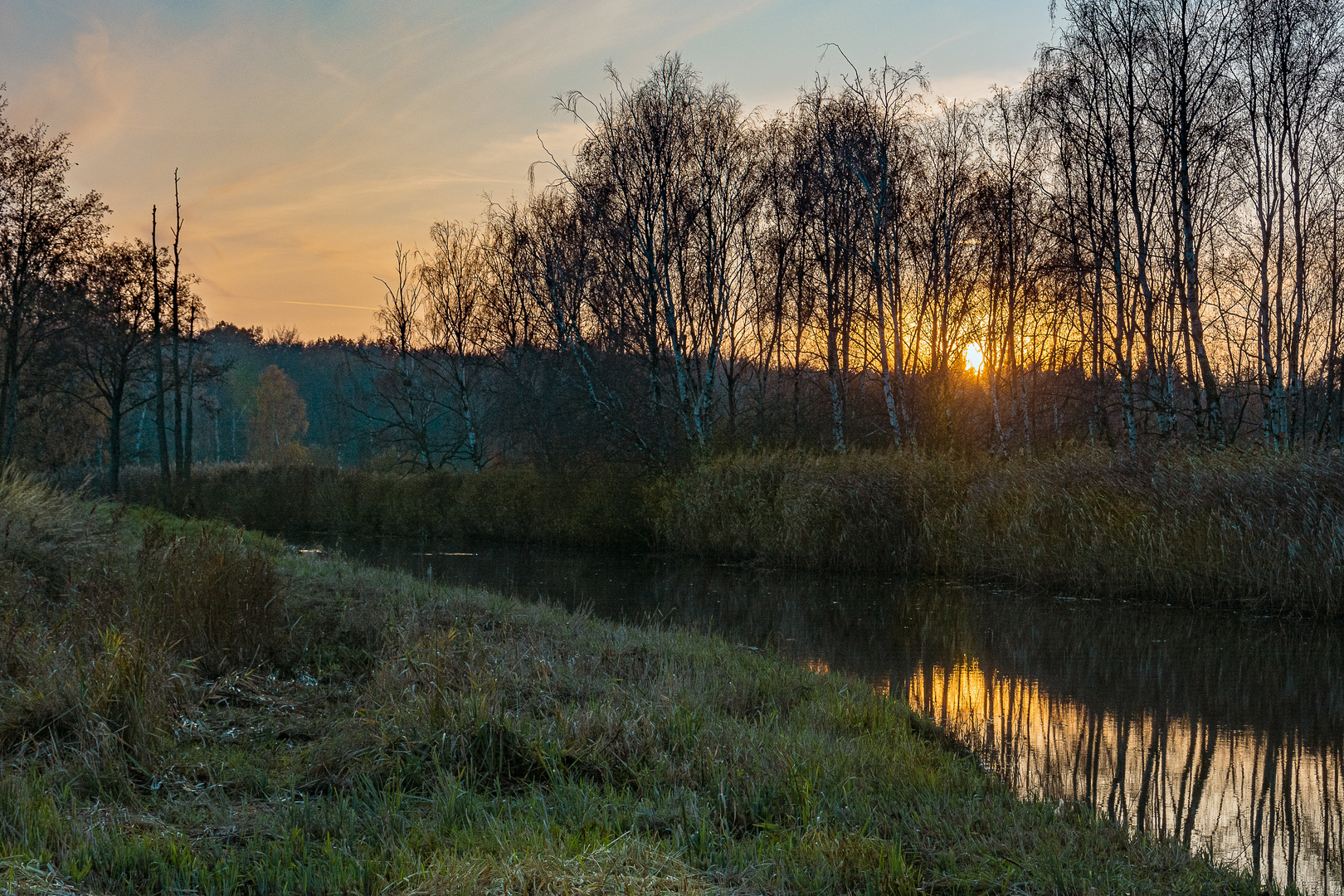 Abendsonne am Ryck