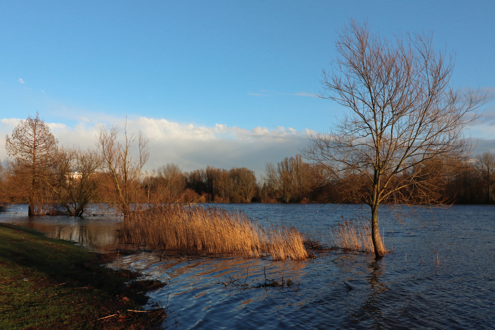 Abendsonne am See