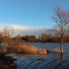 Abendsonne am See