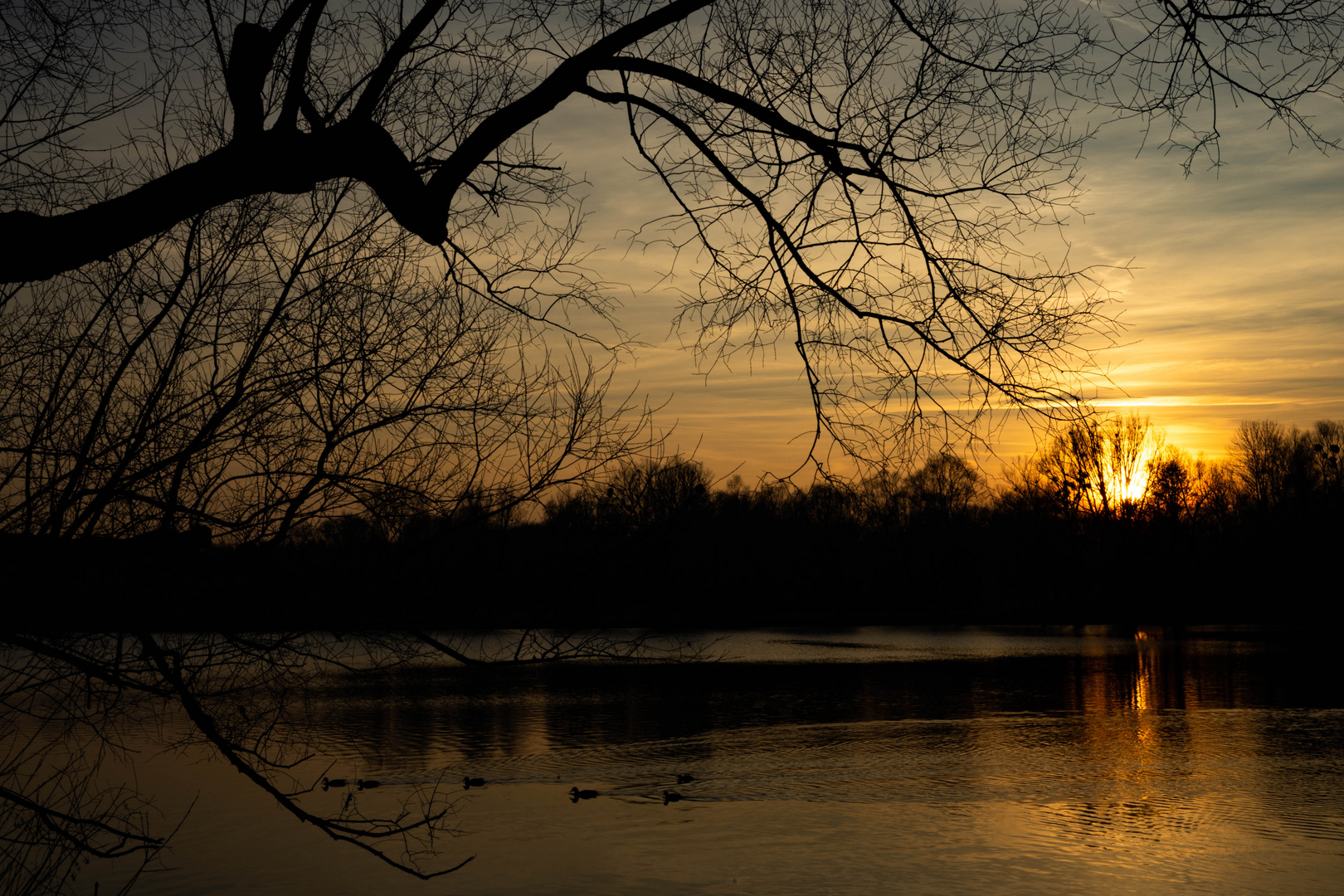 Abendsonne am See