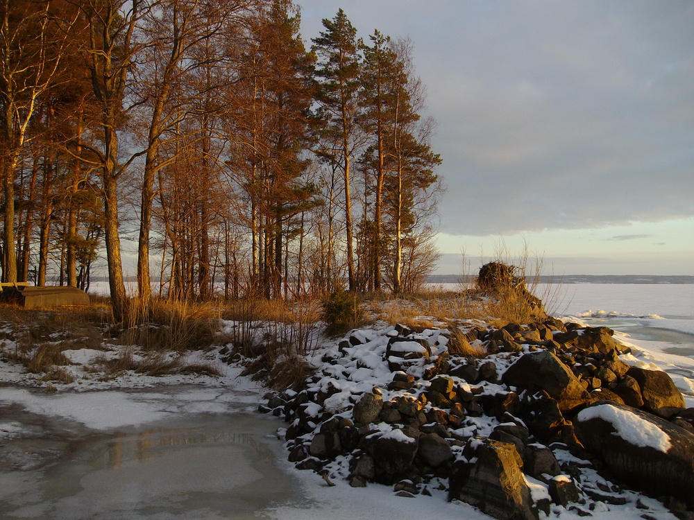 Abendsonne am See