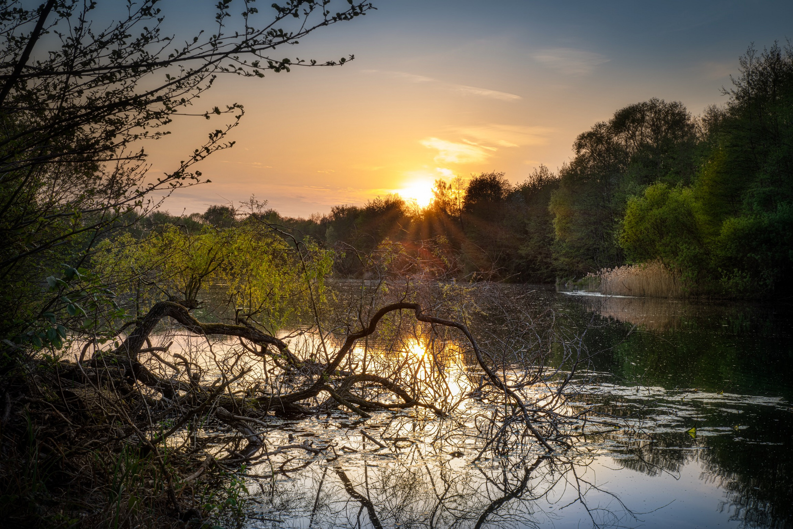 Abendsonne am See