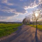 Abendsonne am Sportplatz