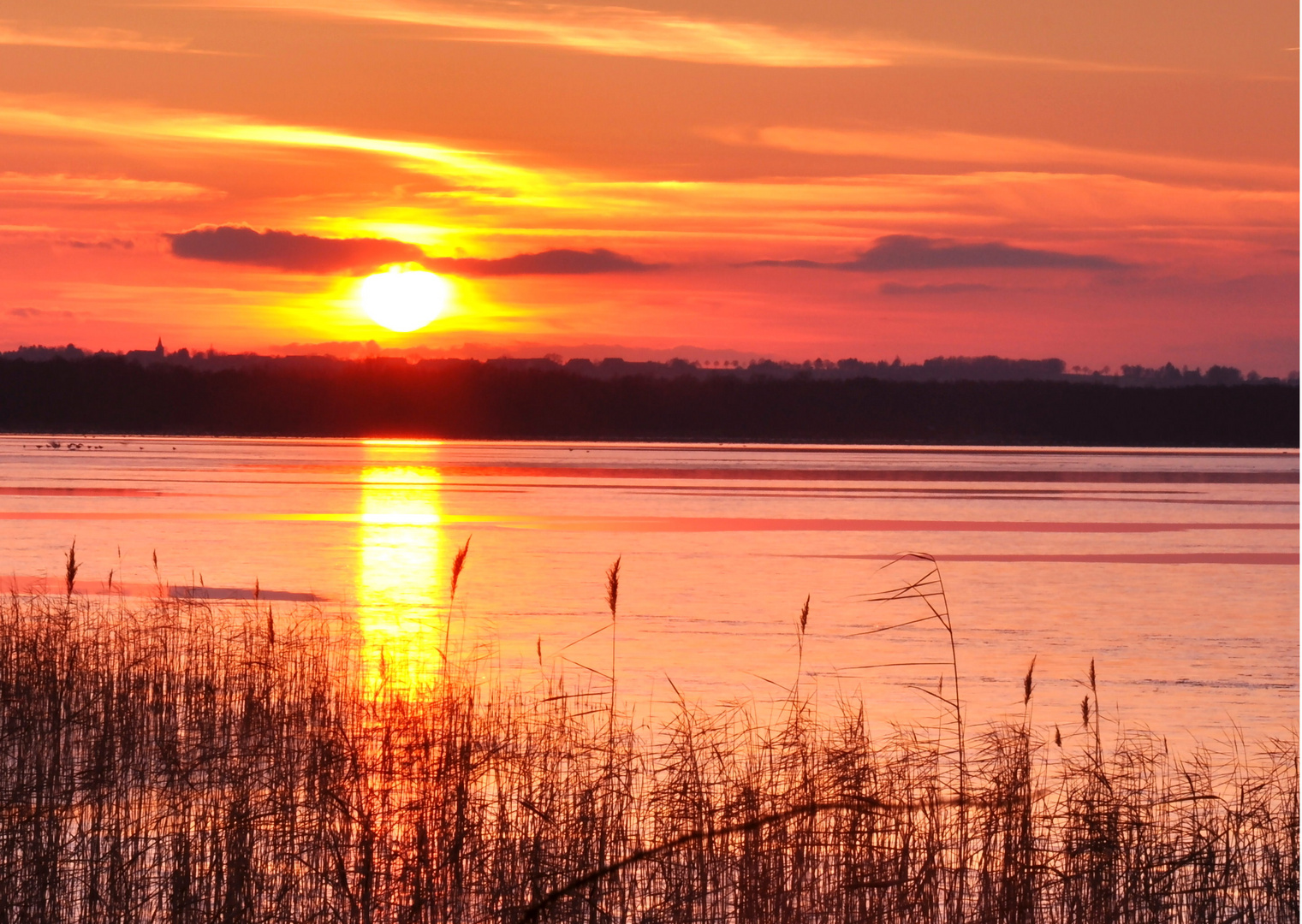 Abendsonne am Steinhuder Meer