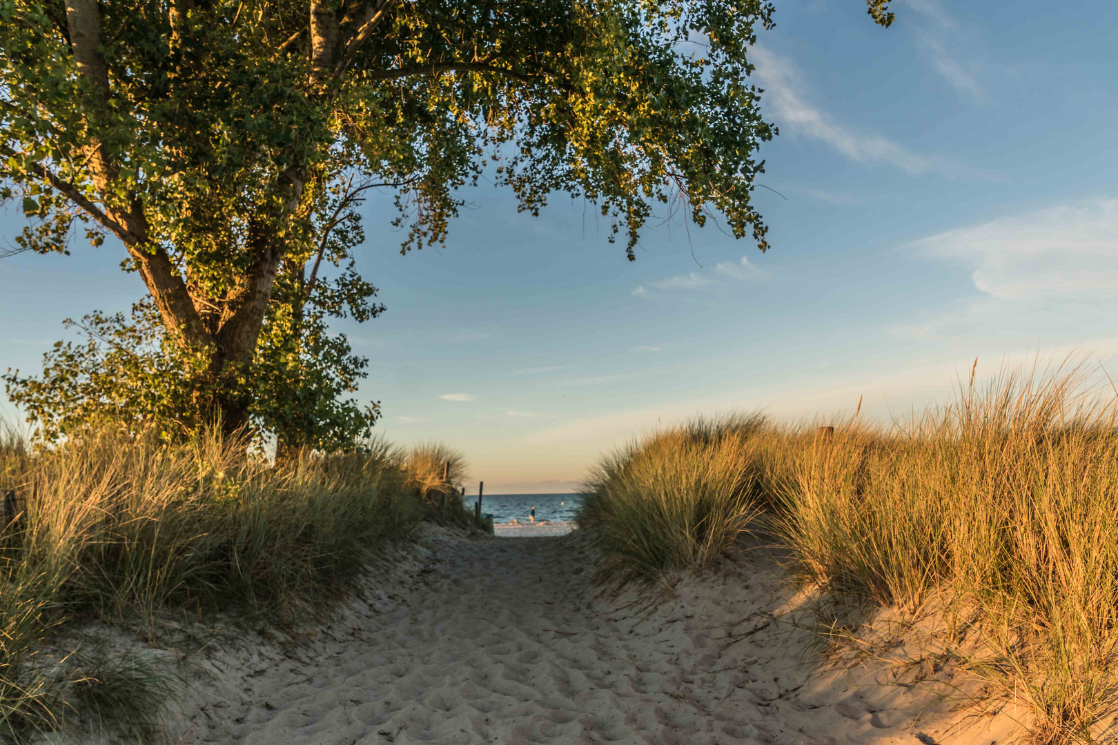 Abendsonne am Strand 