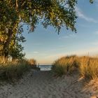 Abendsonne am Strand 