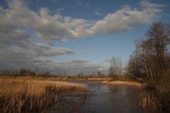 Abendsonne am Teich