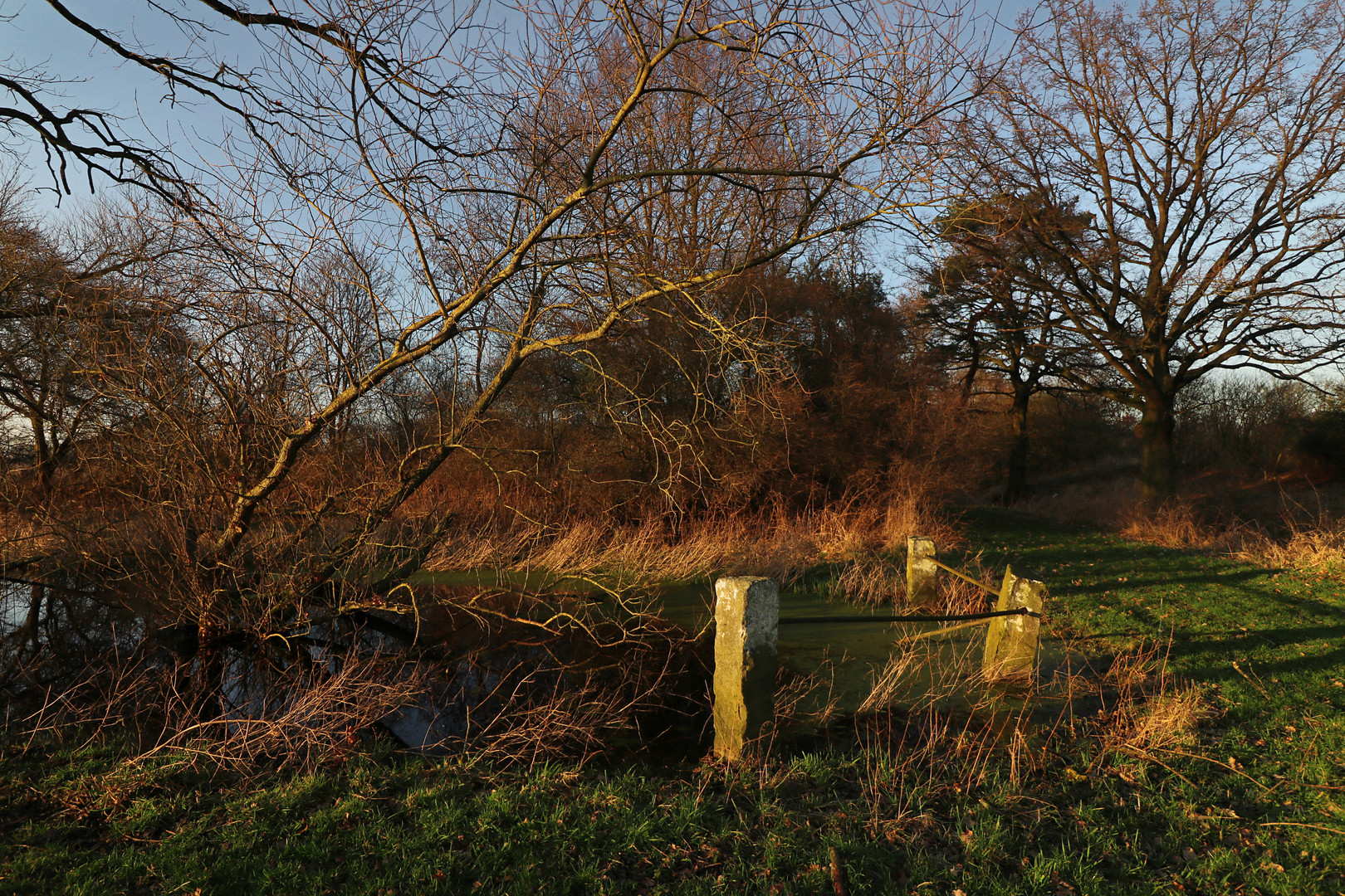 Abendsonne am Wassergraben