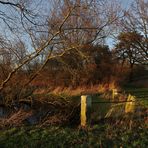 Abendsonne am Wassergraben