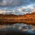 Abendsonne am Wasserloch...