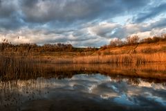 Abendsonne am Wasserloch...