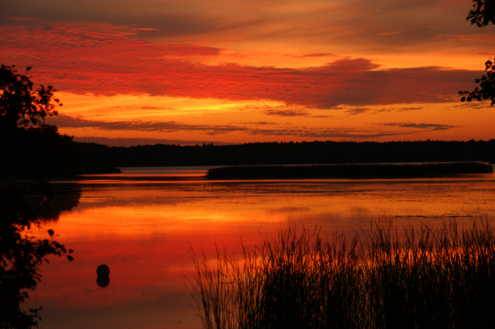 Abendsonne am Westensee