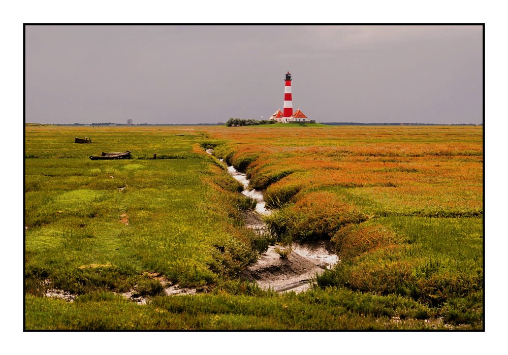 Abendsonne am Westerhever