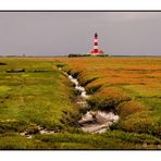 Abendsonne am Westerhever