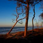 Abendsonne am Weststrand