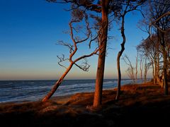 Abendsonne am Weststrand