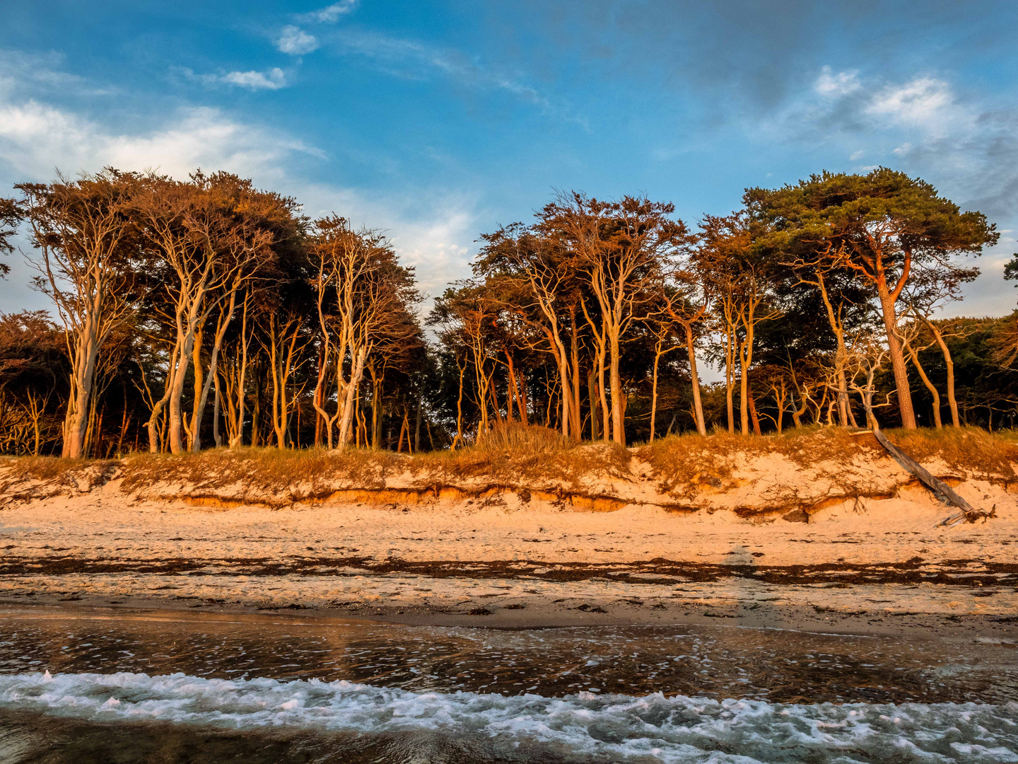 Abendsonne am Weststrand