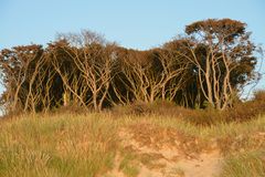 Abendsonne am Weststrand