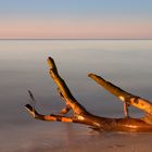 Abendsonne am Weststrand Darß im Herbst (1)