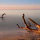 Abendsonne am Weststrand Darß im Herbst (2)