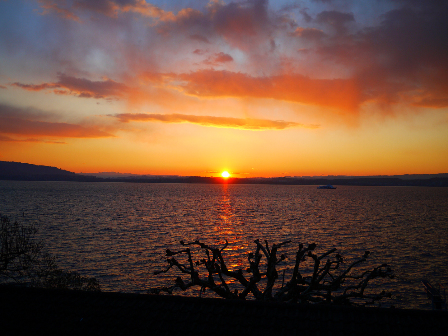 Abendsonne am Zugersee