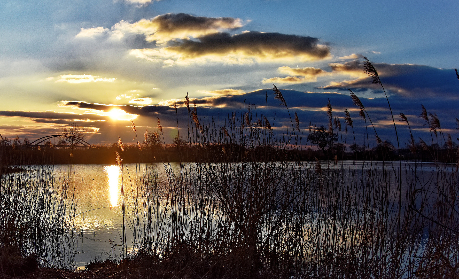 Abendsonne an der Alten Aller am späten Nachmittag