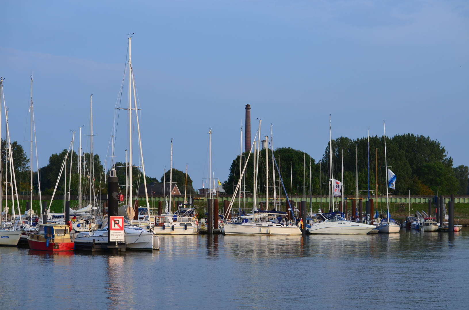 Abendsonne an der Elbe